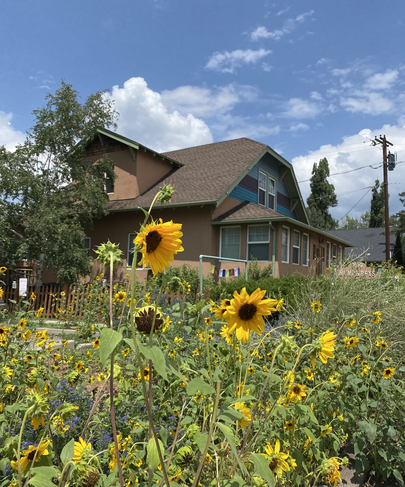 309 N Humphreys St, Flagstaff, AZ for sale Primary Photo- Image 1 of 41