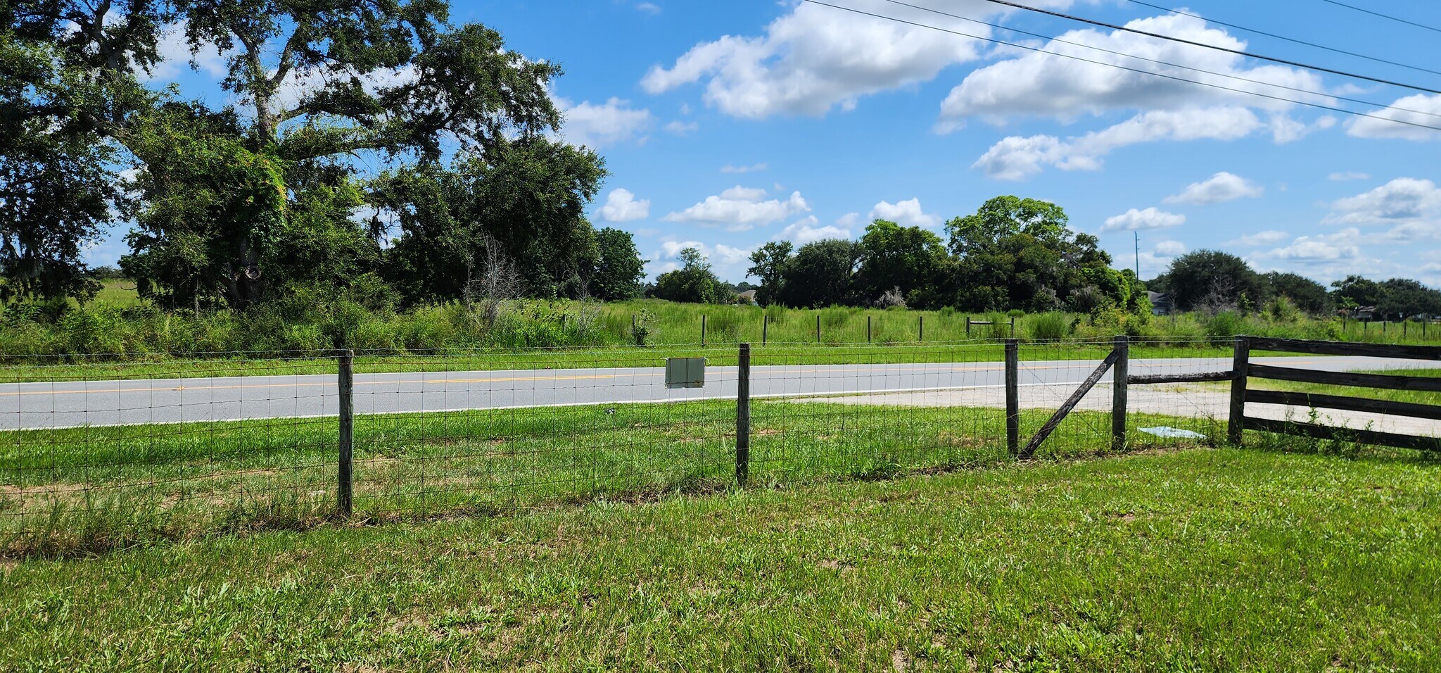 23010 Wolf Branch rd, Sorrento, FL 32776 Ornamental Nursery