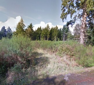 More details for SW Fishpond Creek Dr, Tumwater, WA - Land for Sale