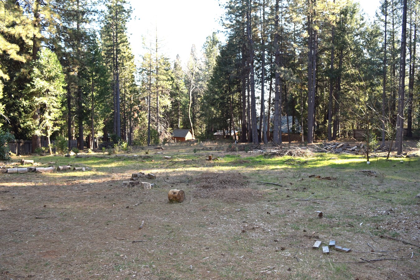 View Photo