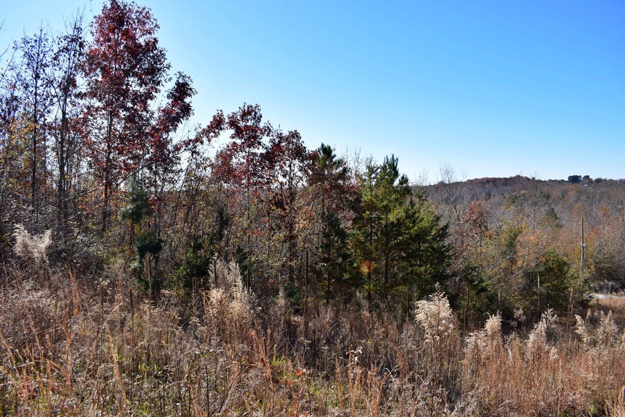 105 Melba Ln, Inman, SC for sale Primary Photo- Image 1 of 1