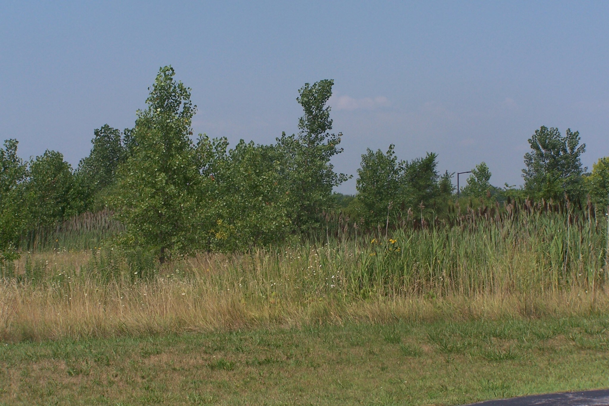 North St & Orchard Drive, Park Forest, IL for sale Building Photo- Image 1 of 3