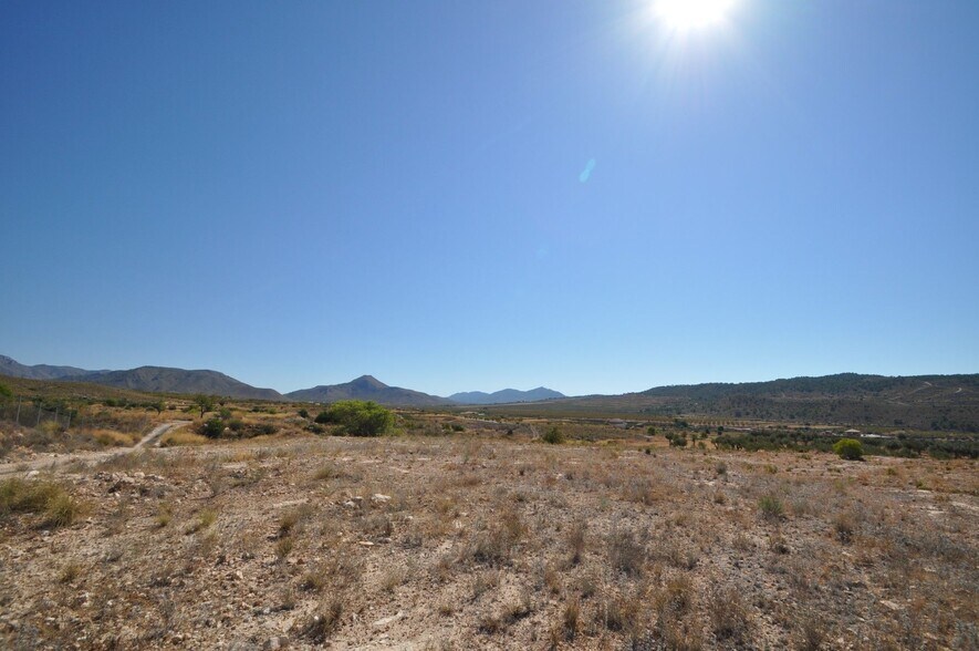 Land in Abanilla for sale - Building Photo - Image 3 of 14