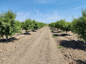 PRICE REDUCED! 50.34 Ac. Almonds. Call today! - Owner Financed Property