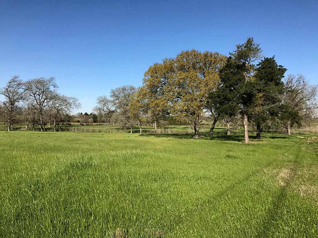 11001 Tx-36, Bellville, TX for sale Other- Image 1 of 1