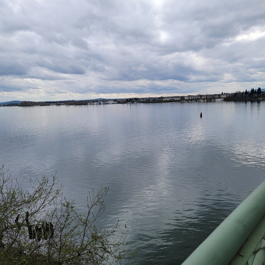 View Photo