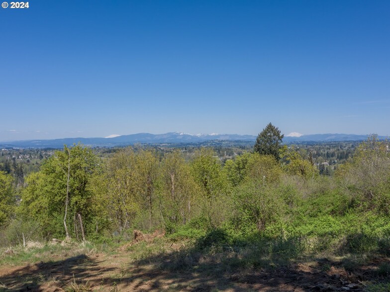 0 Rugg Rd, Damascus, OR for sale - Site Plan - Image 1 of 10