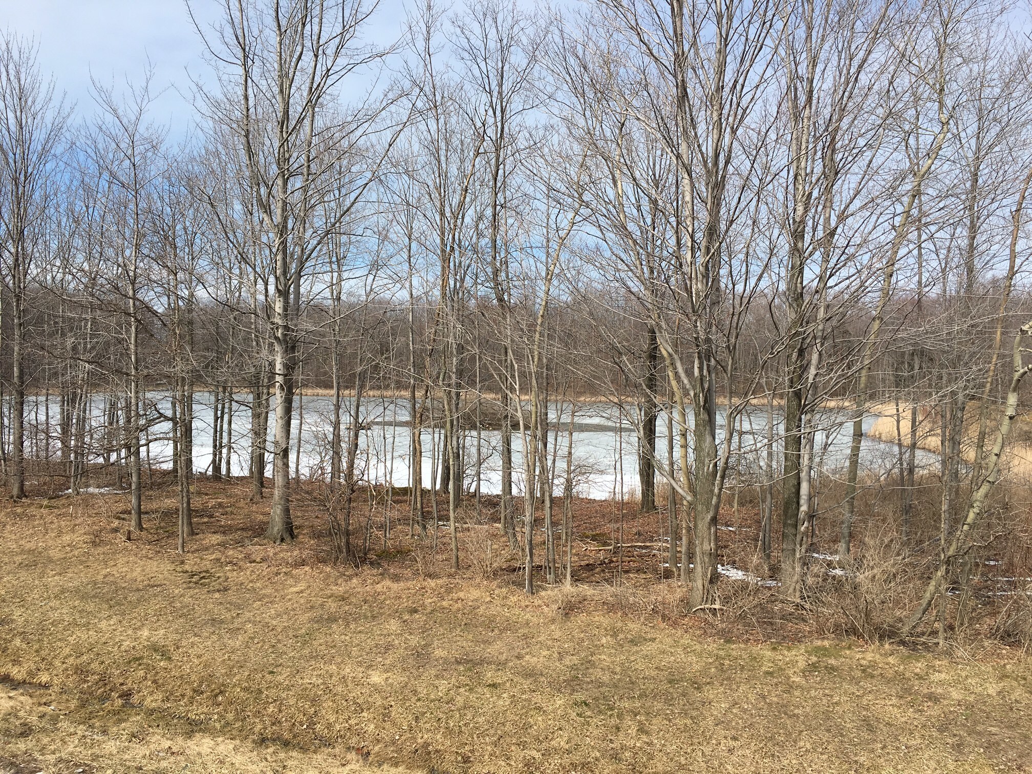 VL Southwestern Blvd, Angola, NY for sale Other- Image 1 of 1