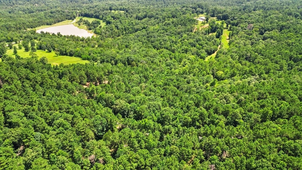 268 Cedar Valley Rd, Coldspring, TX for sale - Aerial - Image 3 of 4