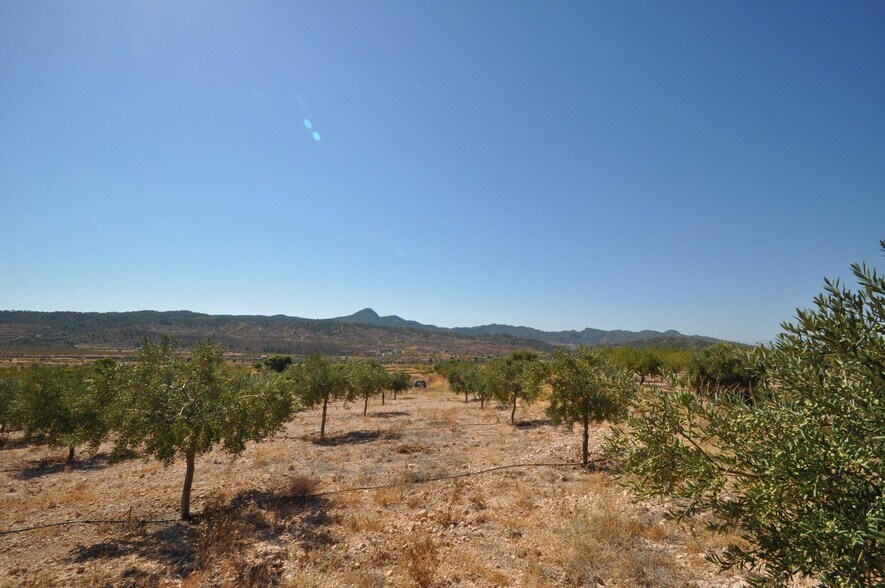 Land in Abanilla for sale - Building Photo - Image 1 of 8