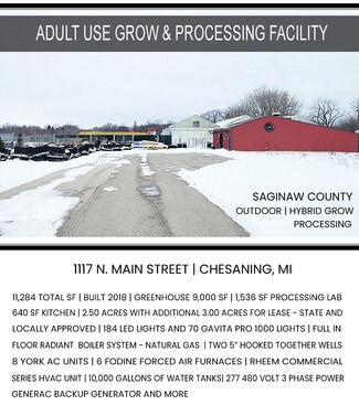 More details for 1117 Main St, Chesaning, MI - Flex for Sale