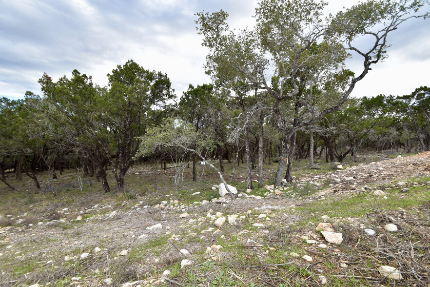 328 Knockout Rose dr, San Marcos, TX for sale - Building Photo - Image 3 of 23