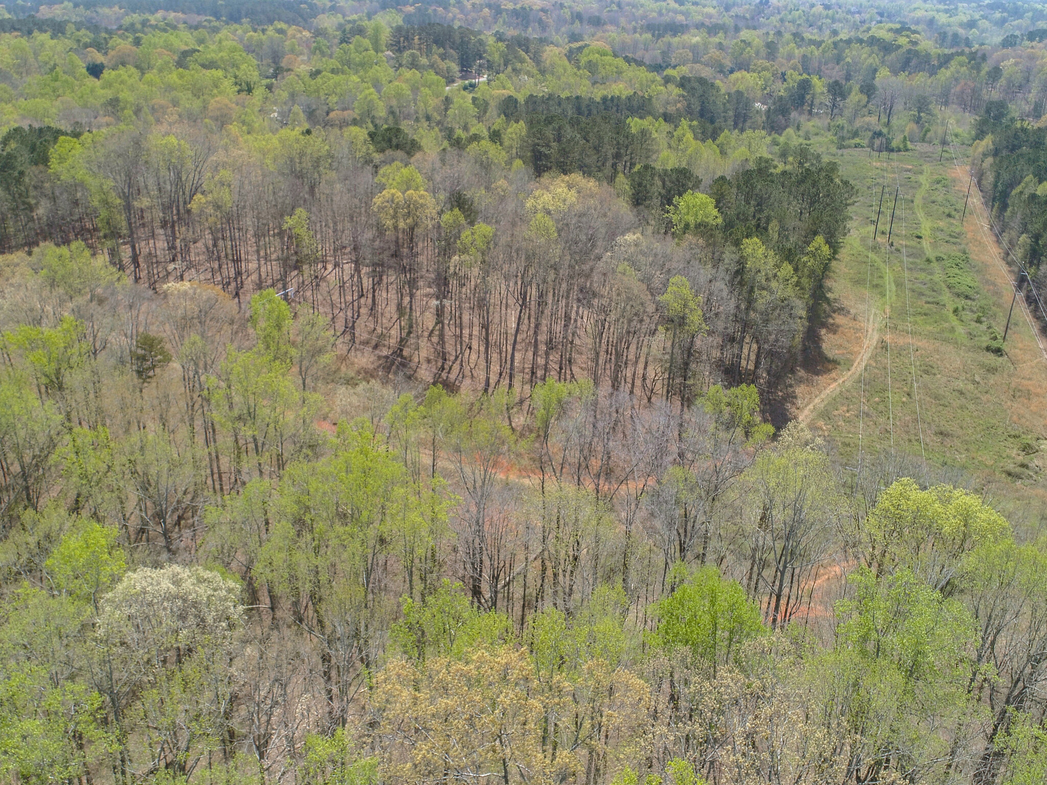 Mountain Rd, Milton, GA 30004 - Land for Sale | LoopNet