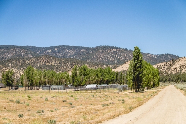 14466 Boy Scout Camp Rd, Frazier Park, CA for sale - Primary Photo - Image 1 of 1