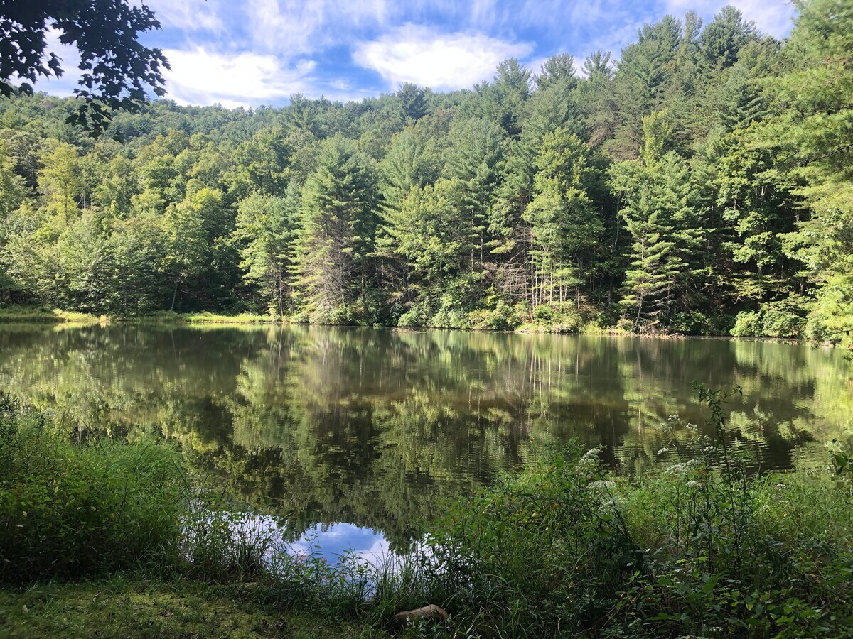 Cohutta Ranch Rd, Blue Ridge, GA 30541