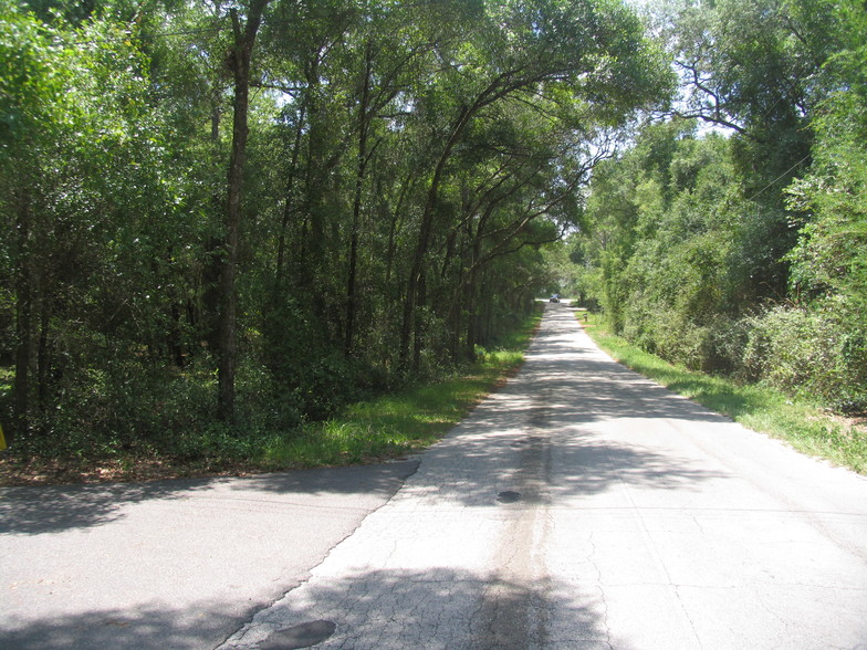 Blue Lake Rd, Deland, FL for sale - Building Photo - Image 3 of 5