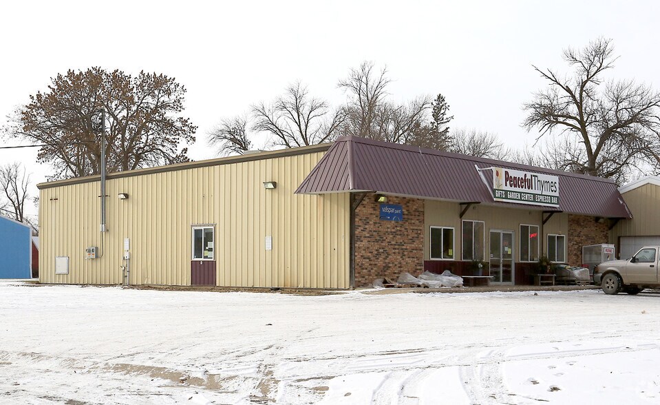 107 Pleasant Ave W, Atwater, MN for sale - Primary Photo - Image 1 of 1