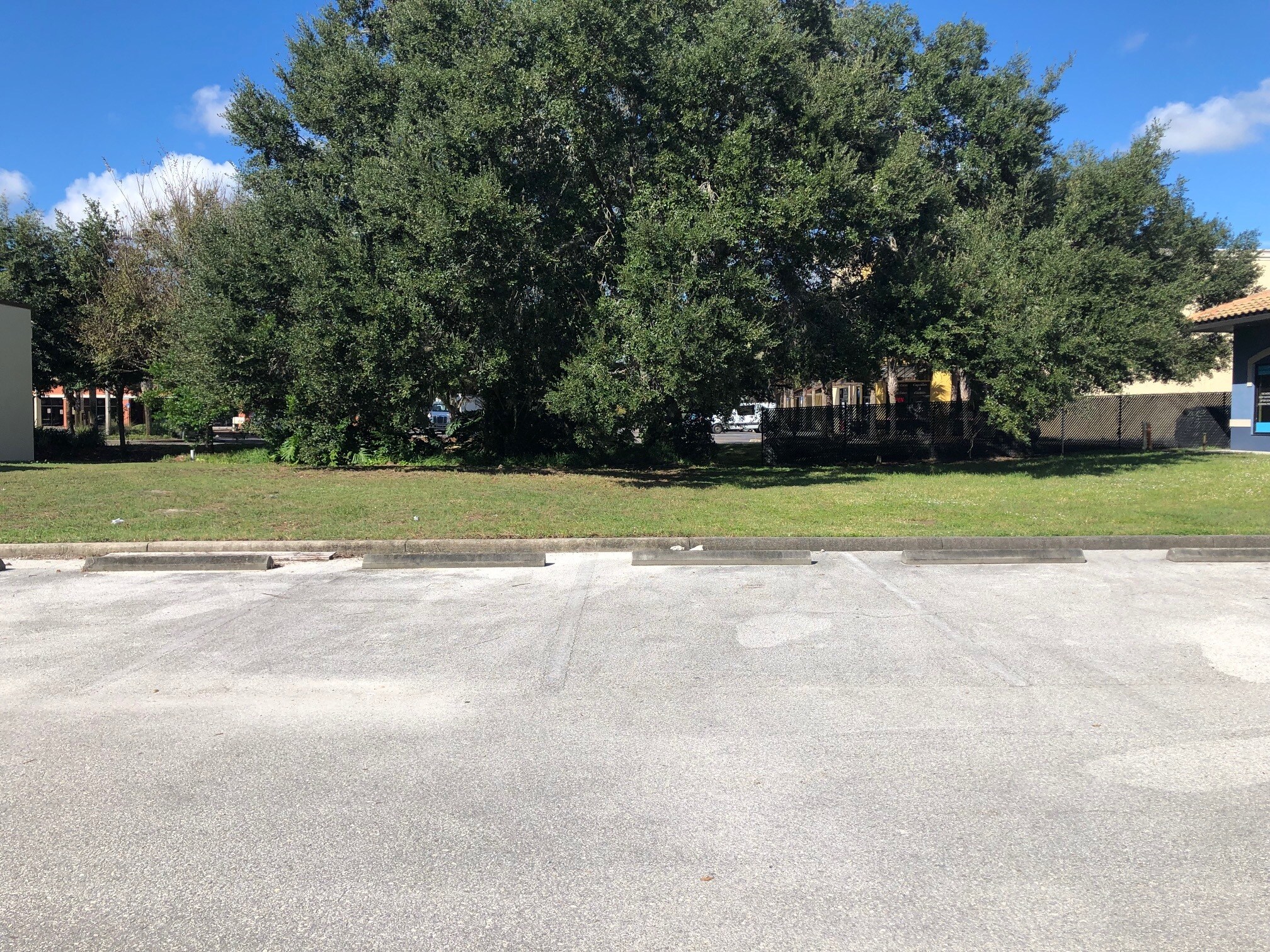 1108 Bloomingdale Ave., Valrico, FL for sale Primary Photo- Image 1 of 1