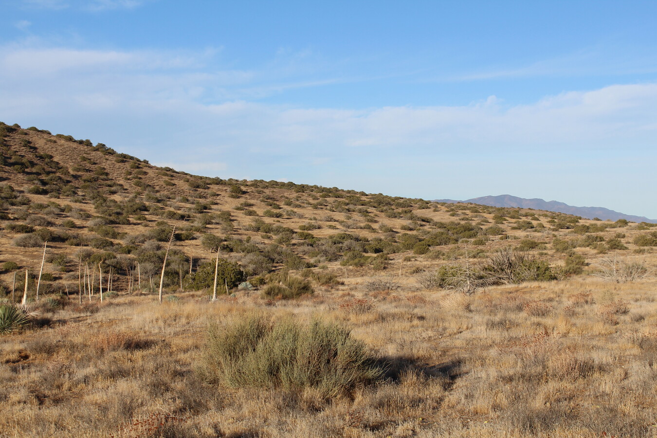 000 Santa Barbara Canyon Rd., Cuyama, CA 93252 - 000 Santa Barbara ...