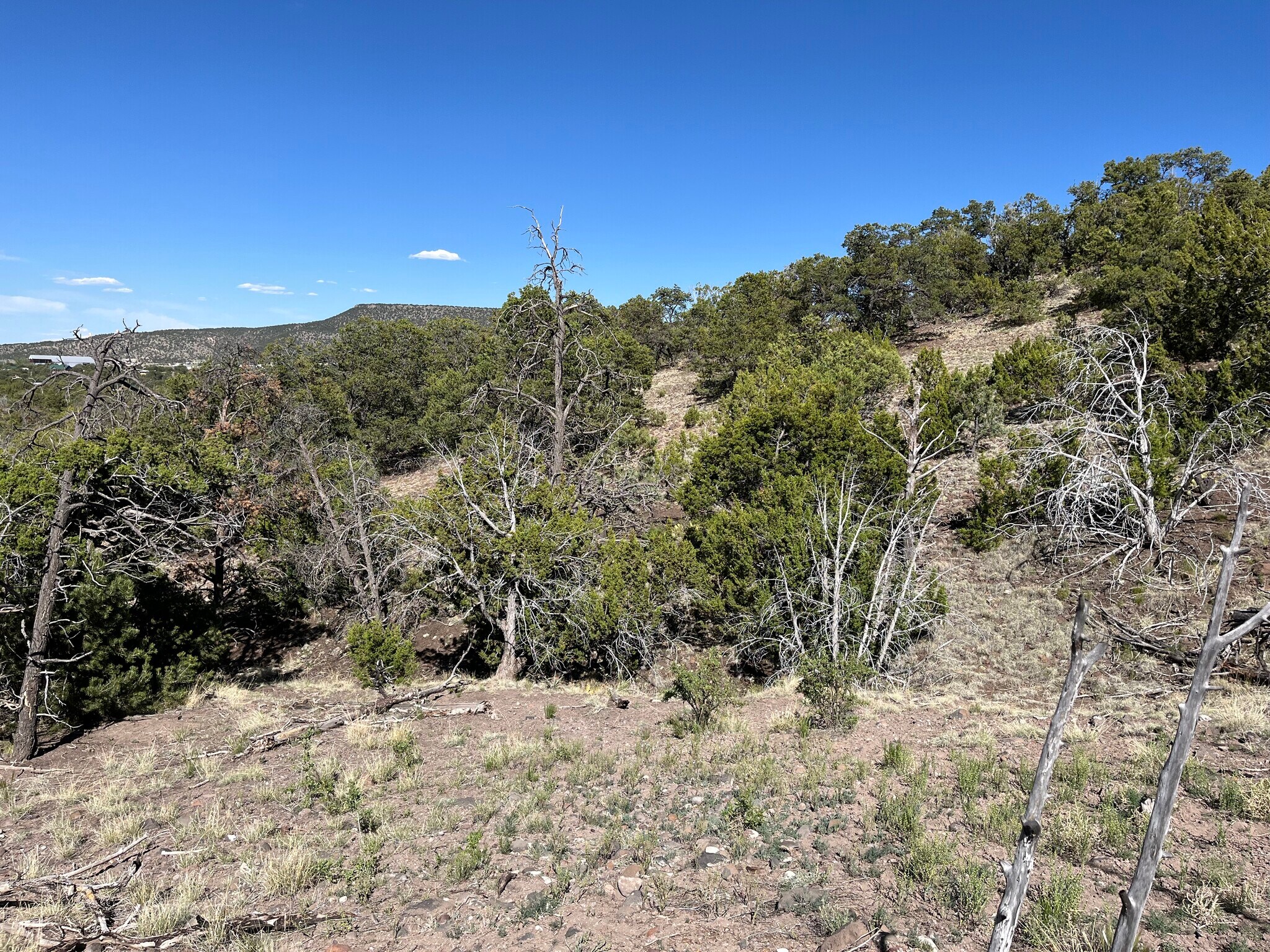 Double Tree Lane, Eagar, AZ for sale Primary Photo- Image 1 of 1