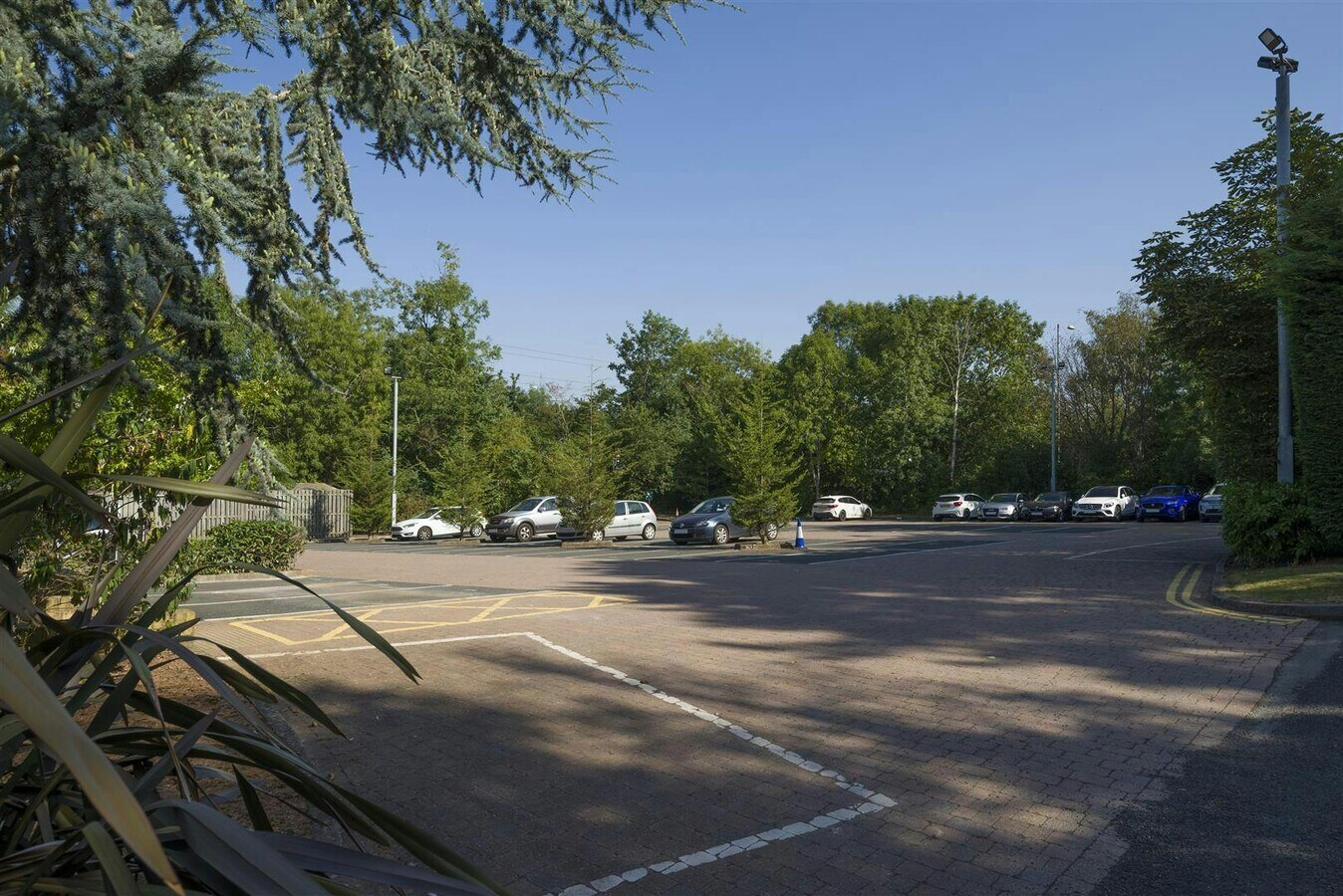 View Photo