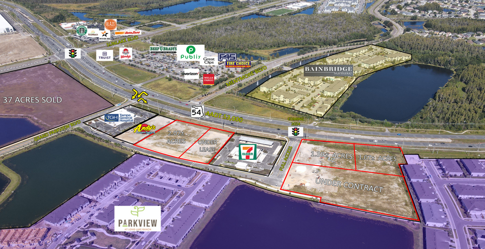 SR 54 & Sunlake Blvd, Lutz, FL for lease - Building Photo - Image 1 of 3