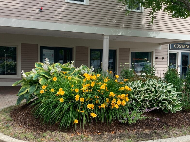 74-76 Bedford St, Lexington, MA for lease - Building Photo - Image 3 of 6