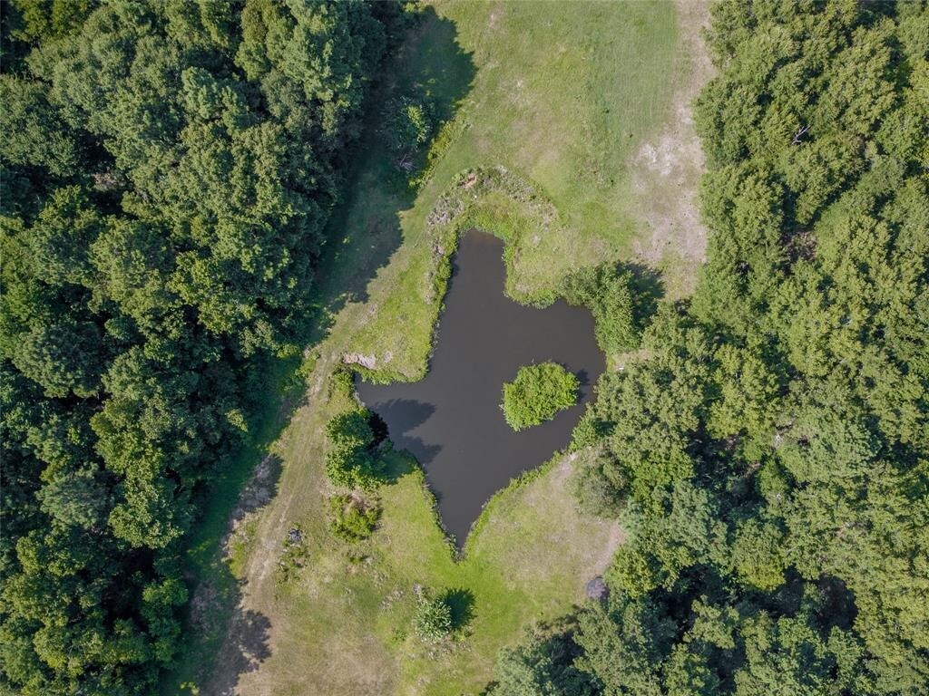 2429 Carriage Lamp Ln, Conroe, TX for sale Other- Image 1 of 1