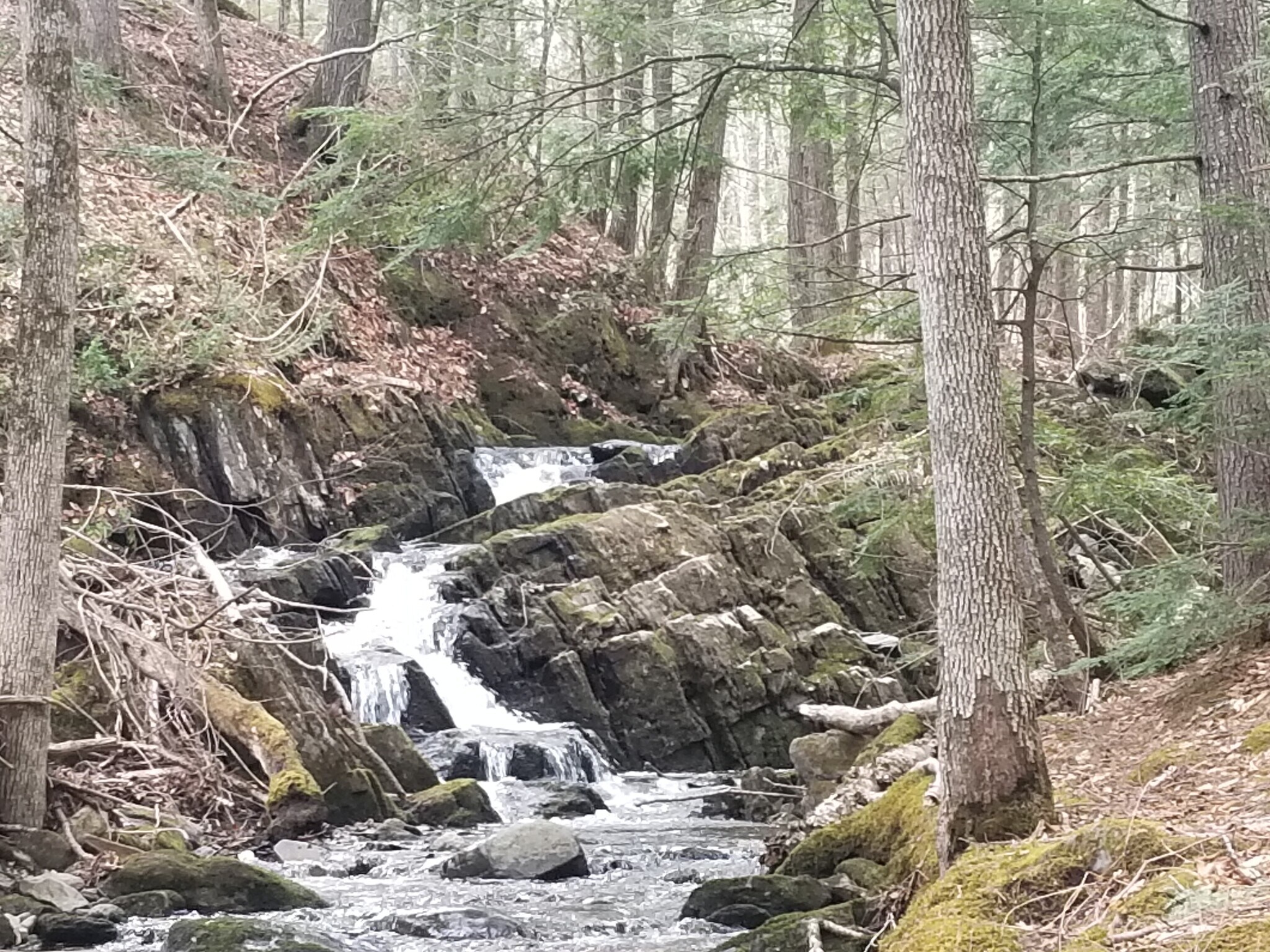 743 Temple Rd, Wilton, ME for sale Primary Photo- Image 1 of 1