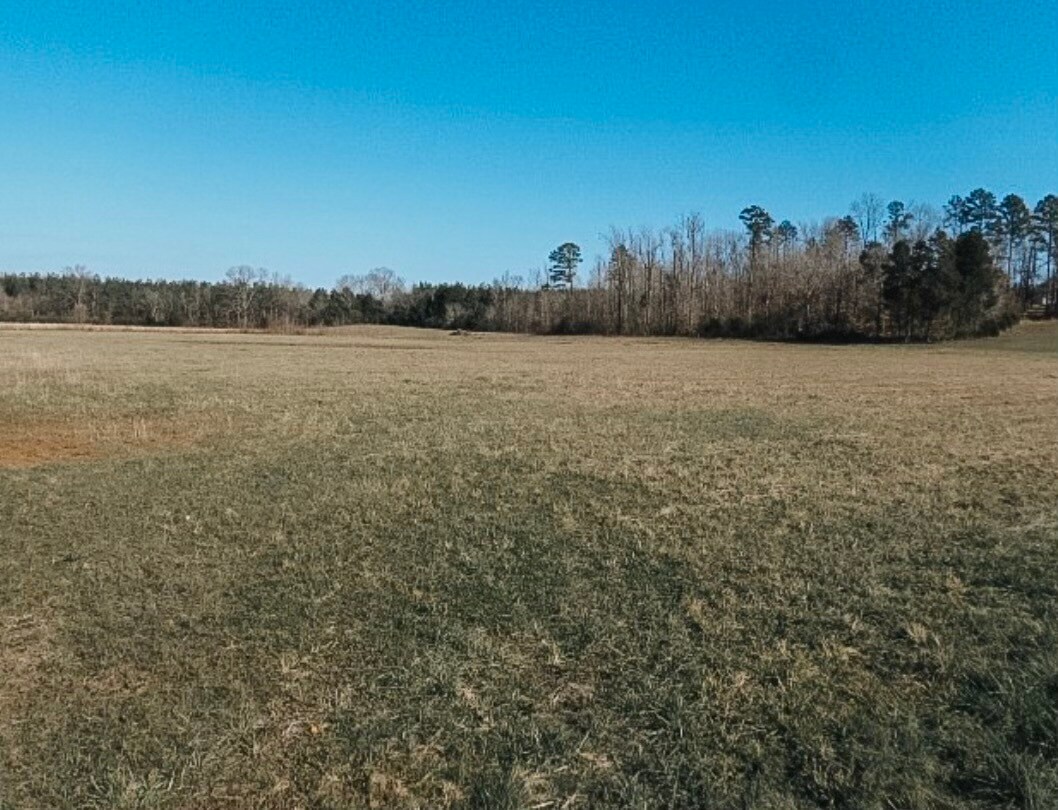 Cerro Gordo Rd, Olivehill, TN 38475