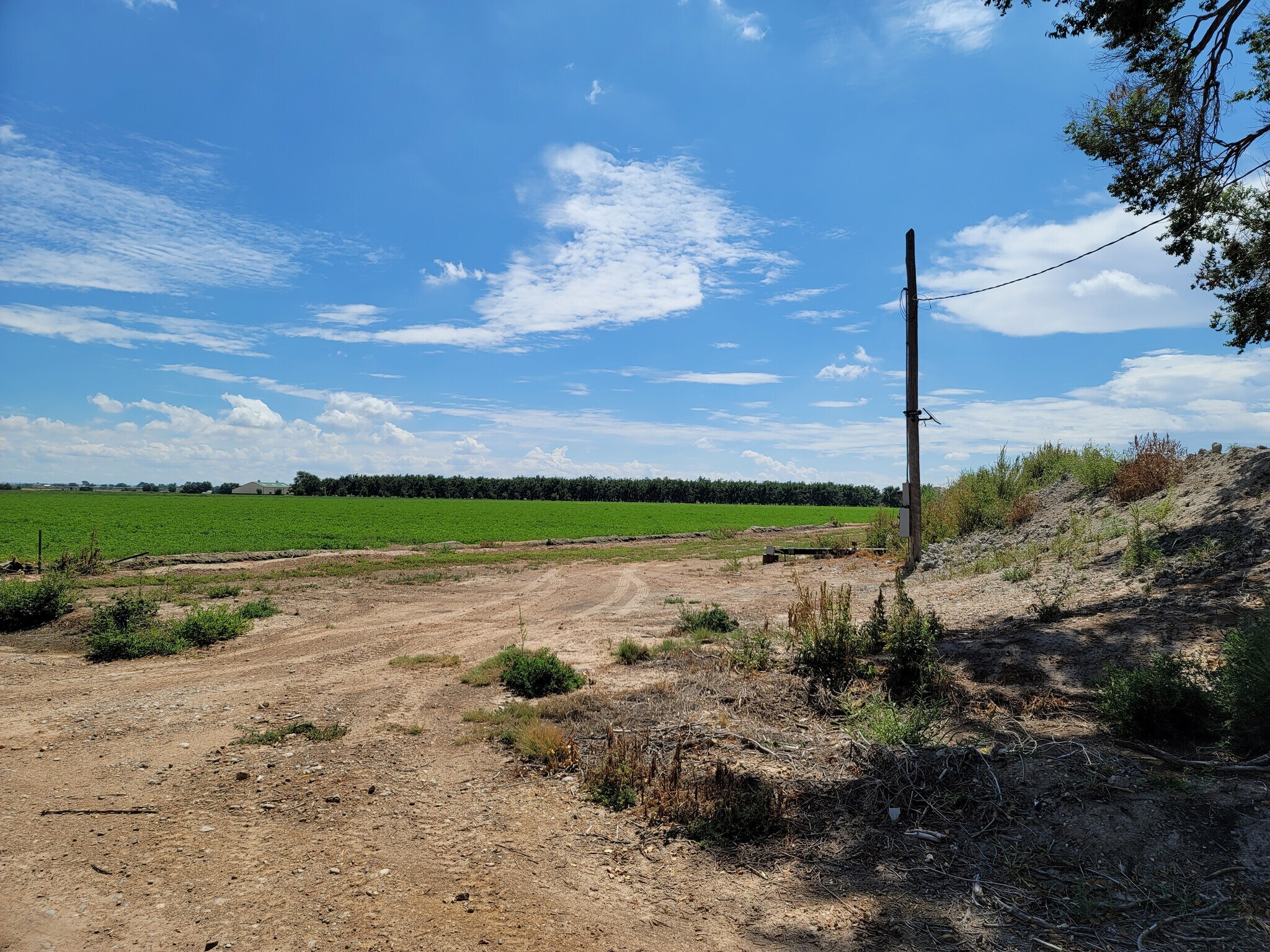 217 N Red Bridge Rd, Roswell, NM 88201 Fenn Farm