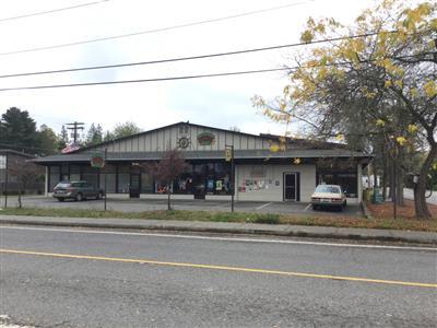 9919 SW 178th St, Vashon, WA for sale - Primary Photo - Image 1 of 1