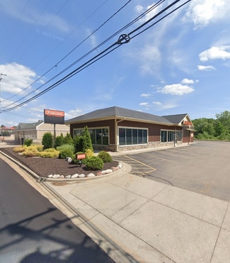 More details for 380 E Division St NE, Rockford, MI - Retail for Sale