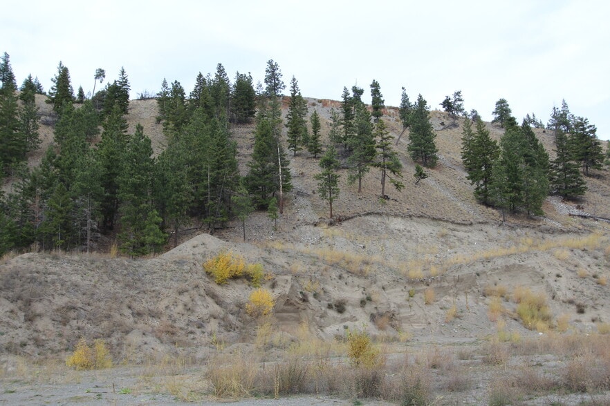 7329 Douglas Lake Rd, Thompson-Nicola, BC for sale - Primary Photo - Image 1 of 4