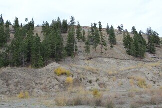 More details for 7329 Douglas Lake Rd, Thompson-Nicola, BC - Land for Sale