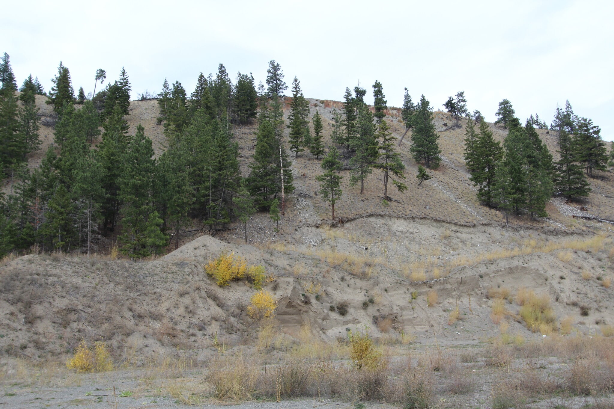 7329 Douglas Lake Rd, Thompson-Nicola, BC for sale Primary Photo- Image 1 of 5