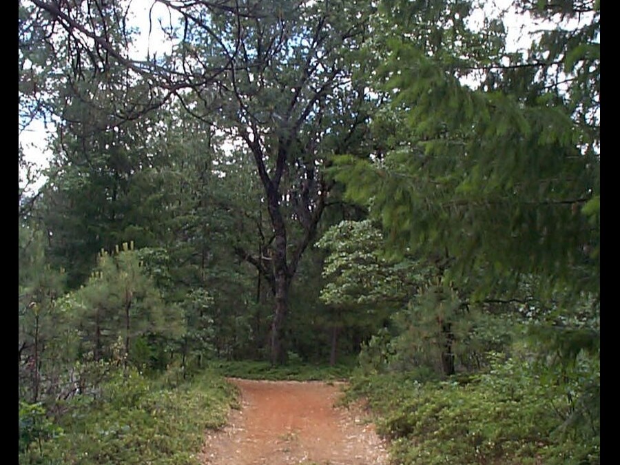 View Photo