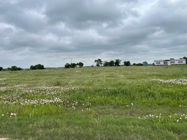 495 County Road 423 Ct, Taylor, TX for sale Primary Photo- Image 1 of 3