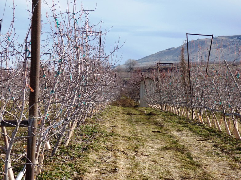 13 Weimer Rd, Orondo, WA for sale - Other - Image 1 of 1