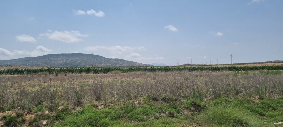 Land in PINOSO for sale - Building Photo - Image 2 of 6