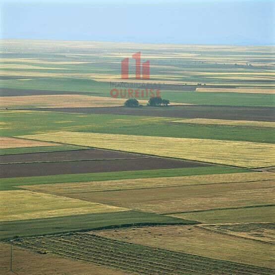 Land in San Cibrao das Viñas, Orense for sale - Building Photo - Image 1 of 1