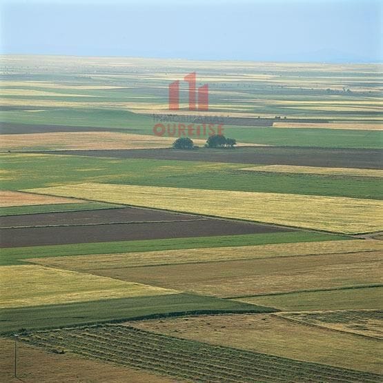 Land in San Cibrao das Viñas, Orense for sale Building Photo- Image 1 of 2