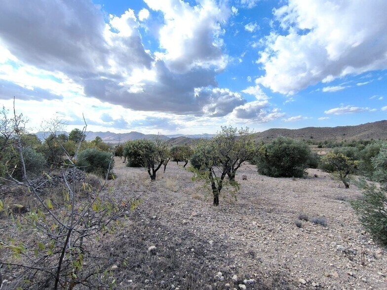 Land in MURCIA for sale - Building Photo - Image 3 of 9