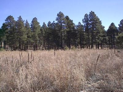 2700 N Fort Valley Rd, Flagstaff, AZ for sale - Building Photo - Image 1 of 1