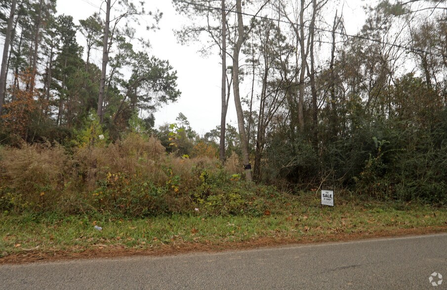 27300 Dobbin Huffsmith Rd, Magnolia, TX 77354