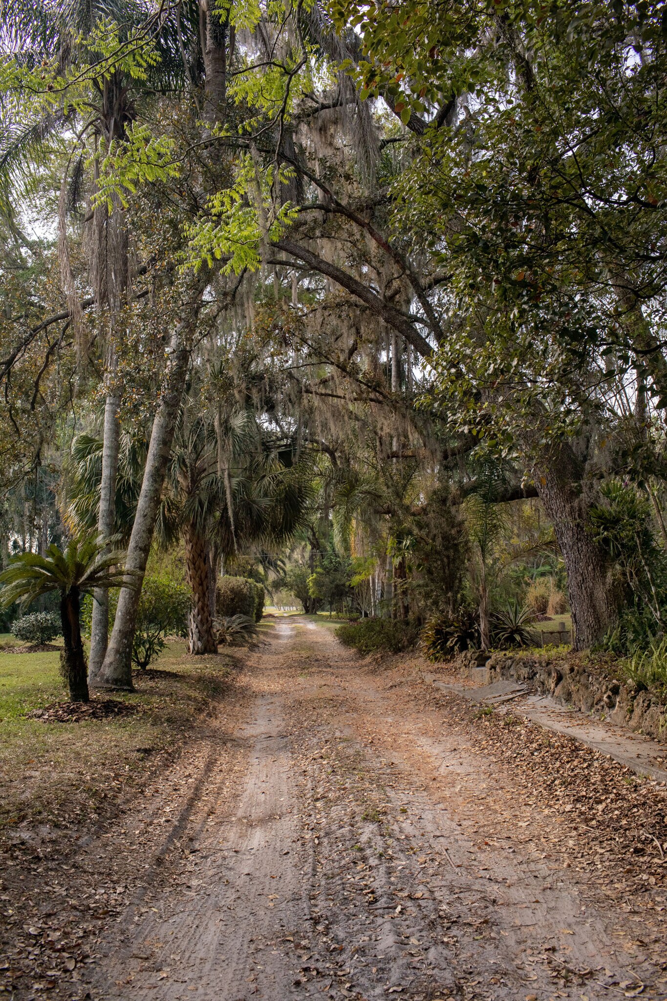 27106 Robertson Rd, Yalaha, FL 34797 Holiday Spring and Homestead