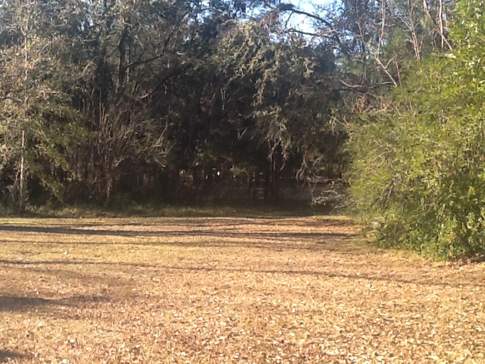 5289 Wilma Edwards Rd, Black Creek, GA 31308 Hwy 280 Near Ga