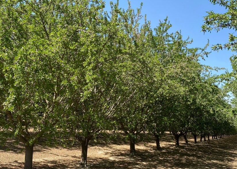 Oakland, Five Points, CA for sale - Primary Photo - Image 1 of 35