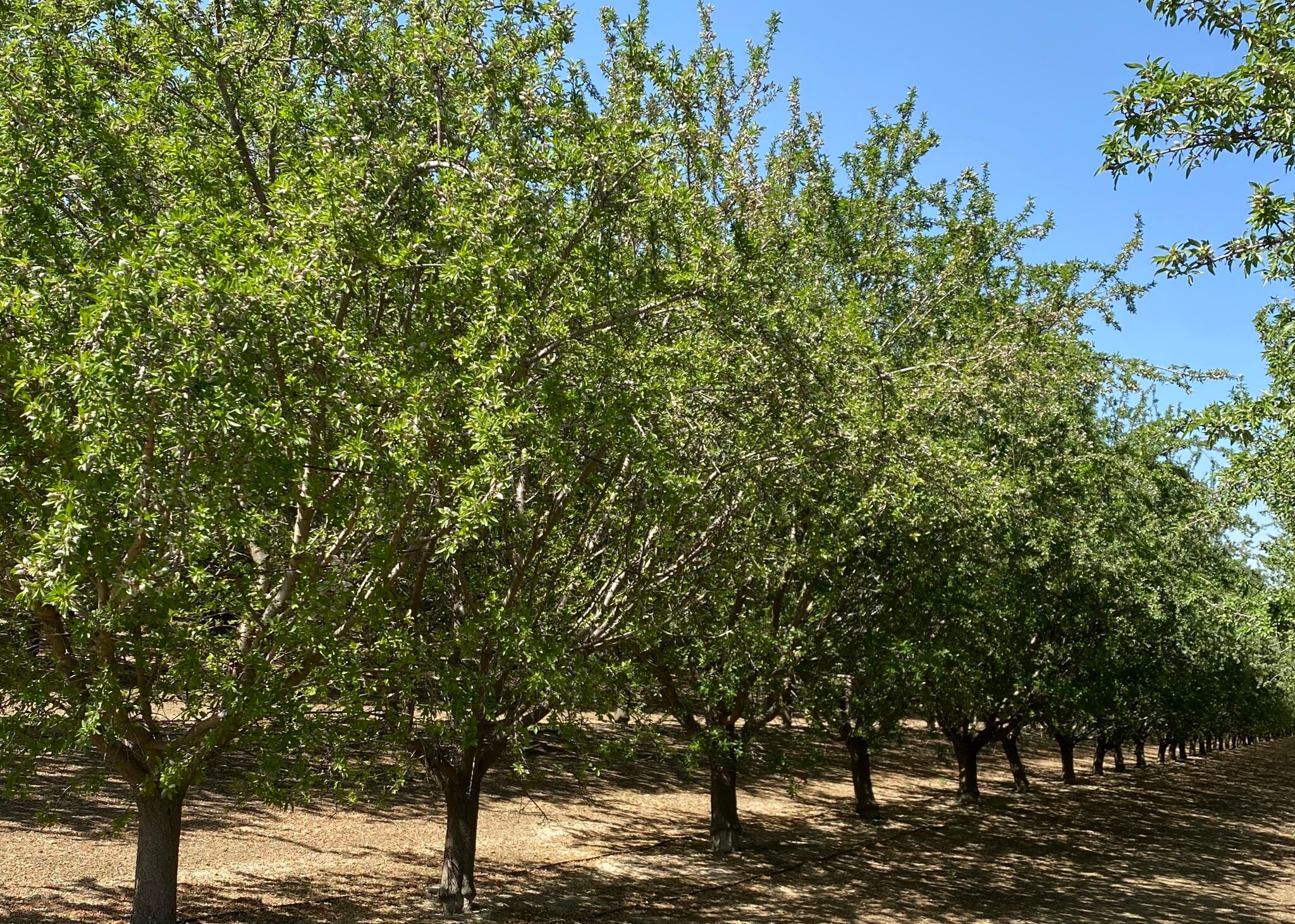 Oakland, Five Points, CA for sale Primary Photo- Image 1 of 36