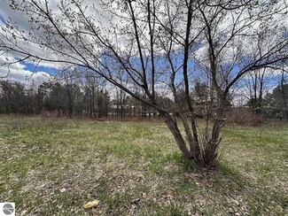 More details for 00 Thayer Ln, Bellaire, MI - Land for Sale